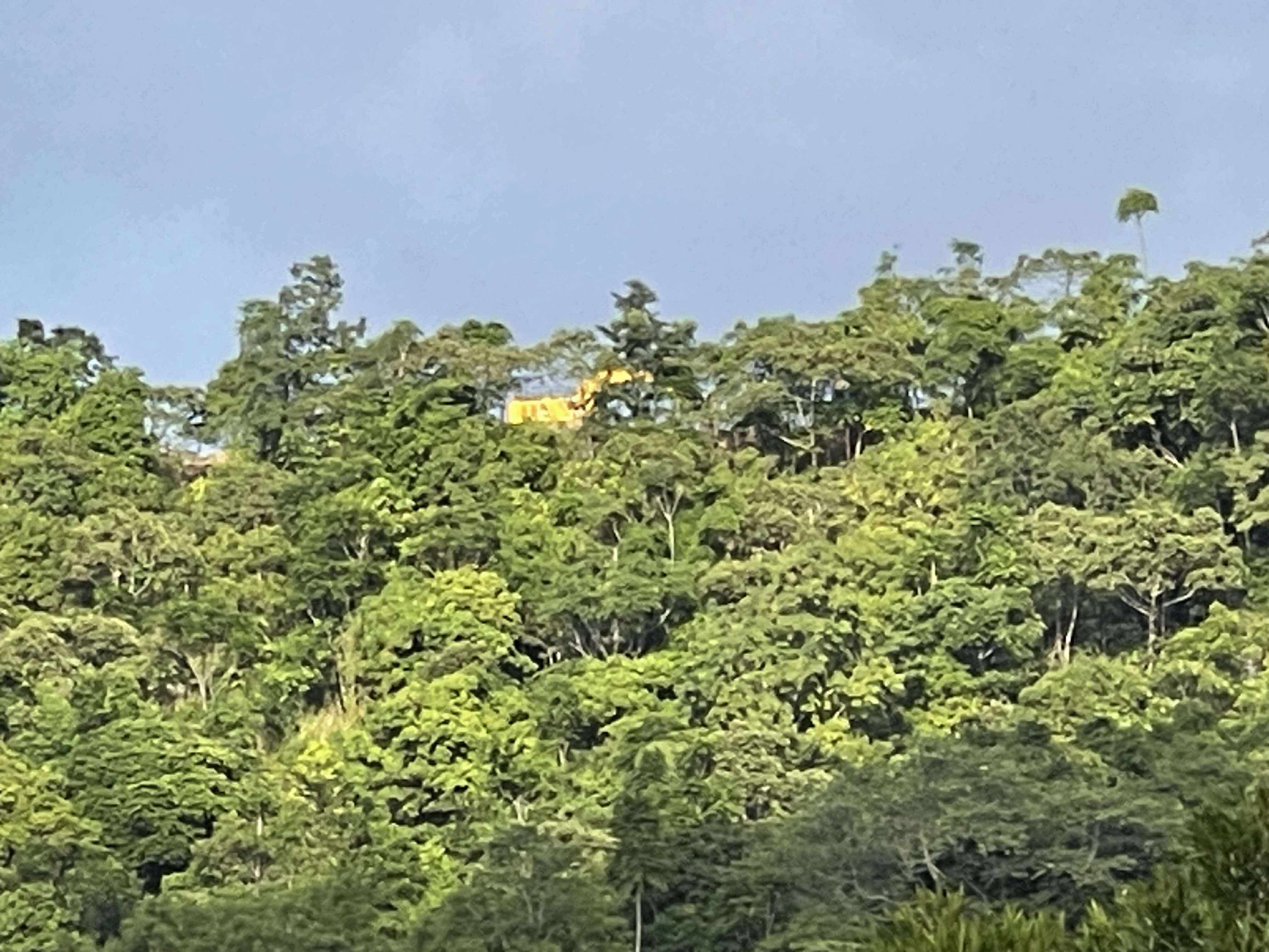 Big Yellow bears down on Ken's backyard.